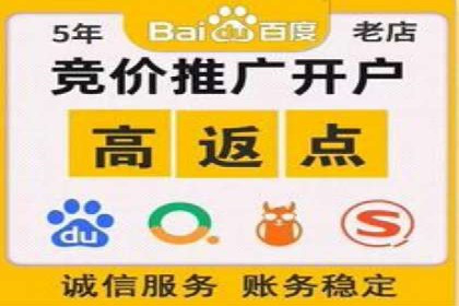 某知名品牌如何通过SEM服务提升转化率